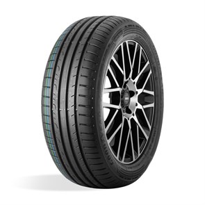 GoodYear  205/55/17  V 95 EAGLE SPORT 2 119538315169