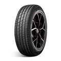 Satoya  185/65/15  T 88 W-36 108129630032 - фото 34215