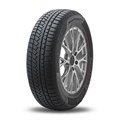 Continental  285/45/21  V 113 ContiWinterContact TS 850 P SUV  XL (AO) 88246133603 - фото 35522